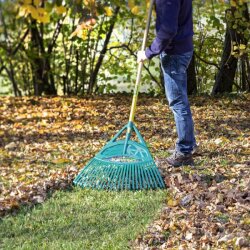 Hrábě na listí Leborgne XL Duopro se záběrem 65 cm